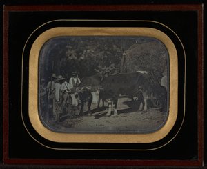 (Boeren met ossen en wagen)